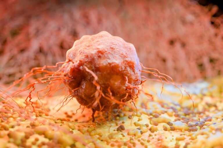 Bactérias intestinais podem prever efeitos do tratamento do câncer