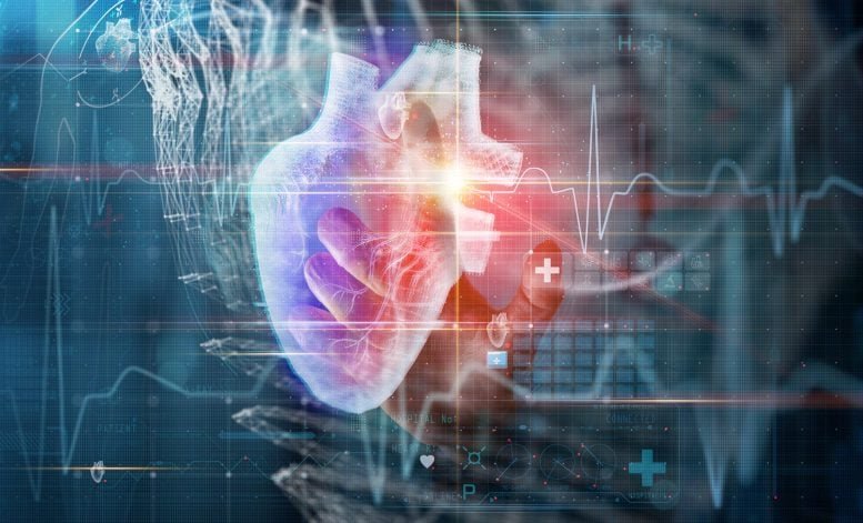 Cardiology Heart Technology Concept