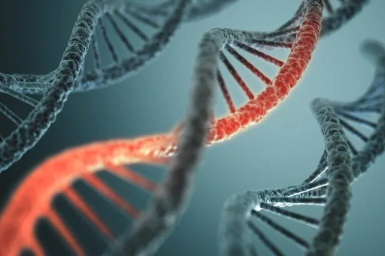Estudo revela explicação genética para traços extremos em humanos