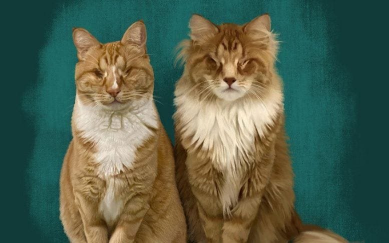 Digital Artwork of Feline Siblings Gary and Shaggy