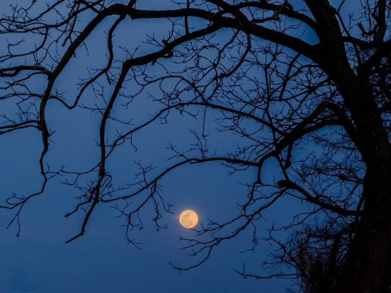 Eventos astronômicos de outubro incluem chuvas de meteoros e lua cheia