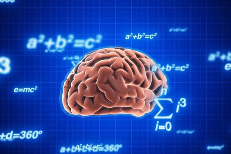 Human Brain Math Formulas