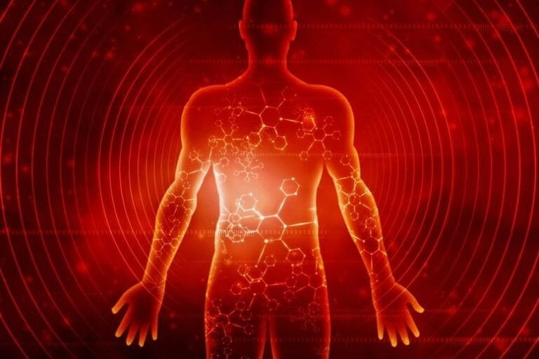 Estudo relaciona restrição de proteína à longevidade