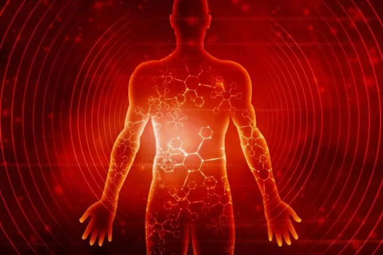 Estudo relaciona restrição de proteína à longevidade