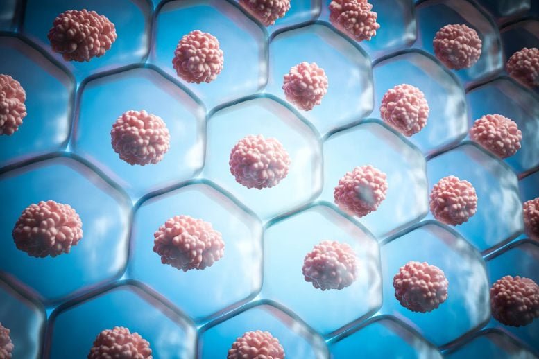 Human Skin Cells Microscopic Illustration