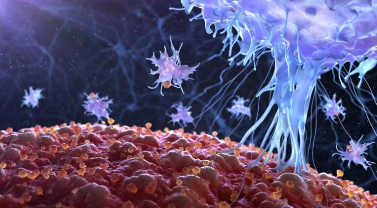 Estudo revela novo mecanismo de inflamação em doenças autoimunes
