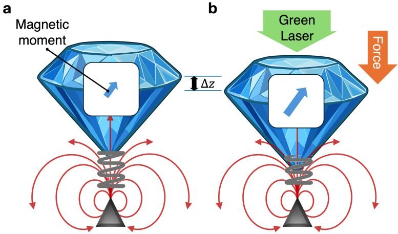 Laser Controlled Electron Spins Push a Diamond Downward