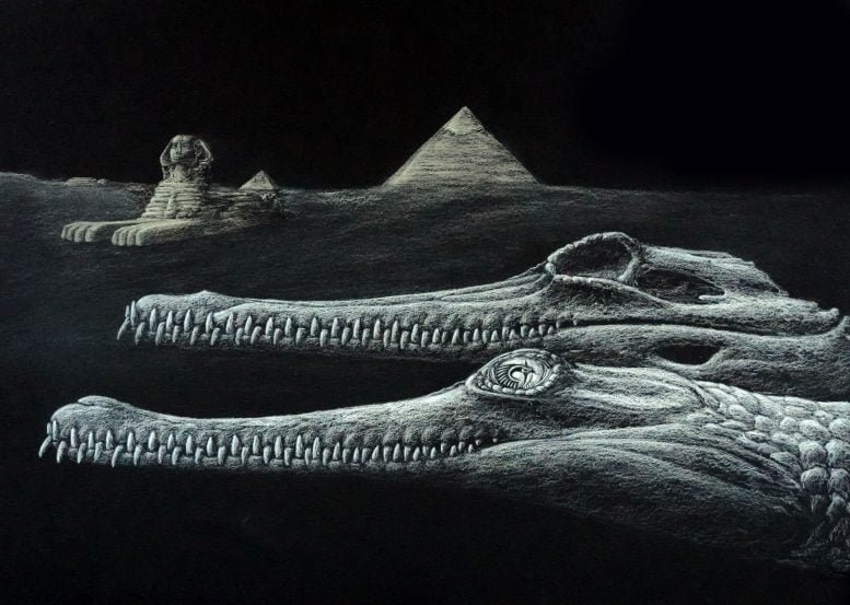 Life Reconstruction of Herugavialis Cairensis