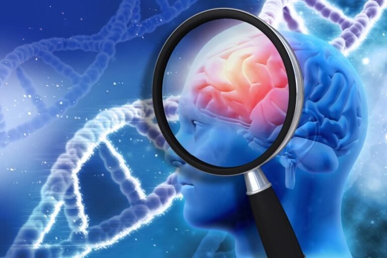 Dieta rica em pizza e doces acelera declínio cognitivo em idosos