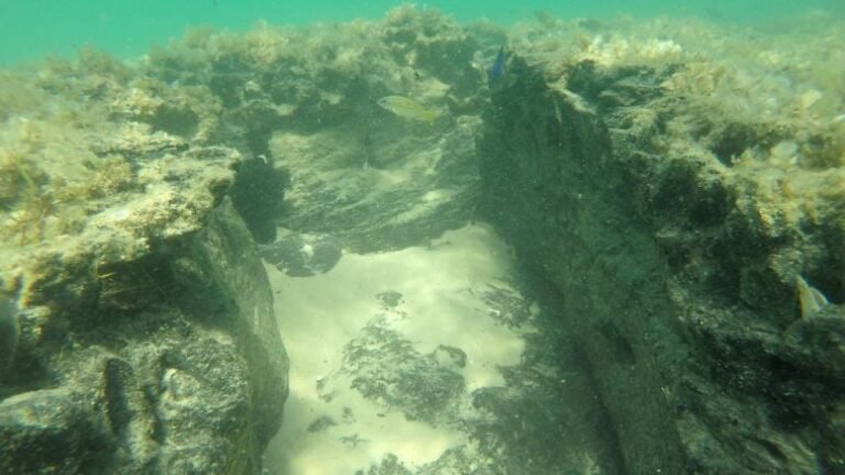Estudo revela importância de recifes de turfa na costa de Moçambique