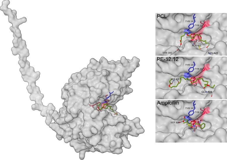 Plastic Depolymerase Structure With Three Bound Substrates