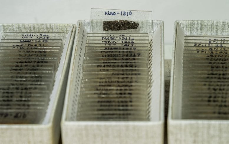 Pottery Thin Sections Prepared for Petrographic Analysis