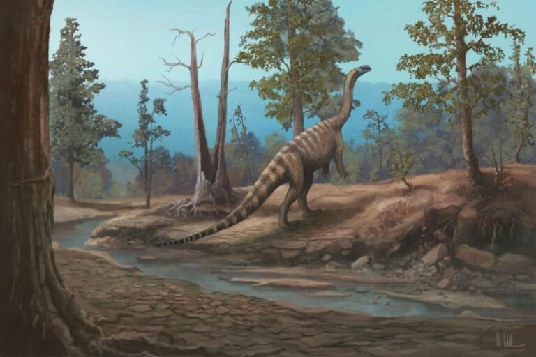 Dinossauros do Zimbábue Revelam Comunidade Pré-Histórica Única