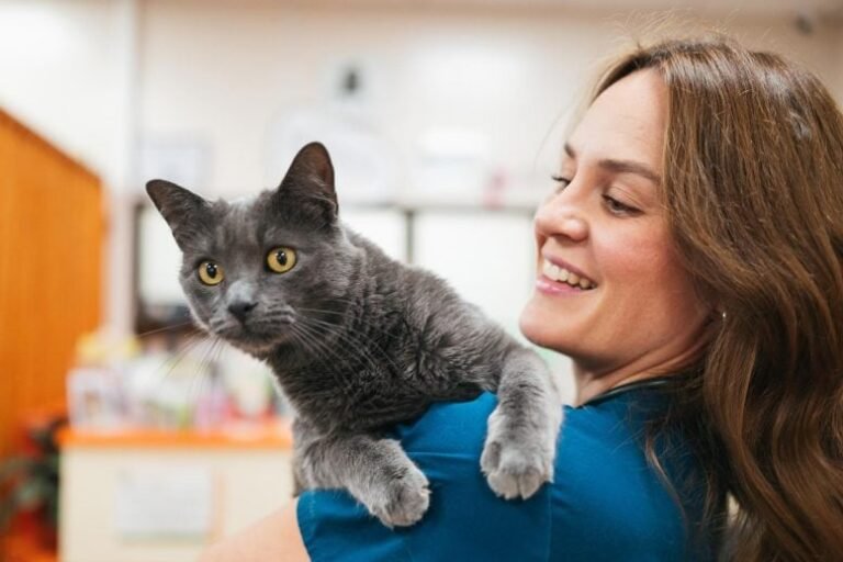 Estudo revela conexão biológica entre gatos e seus donos