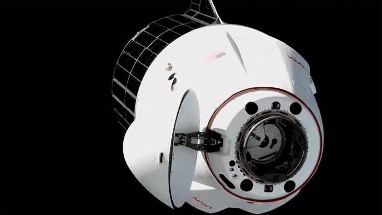 SpaceX entrega modelos de cérebro e tecnologia para ISS