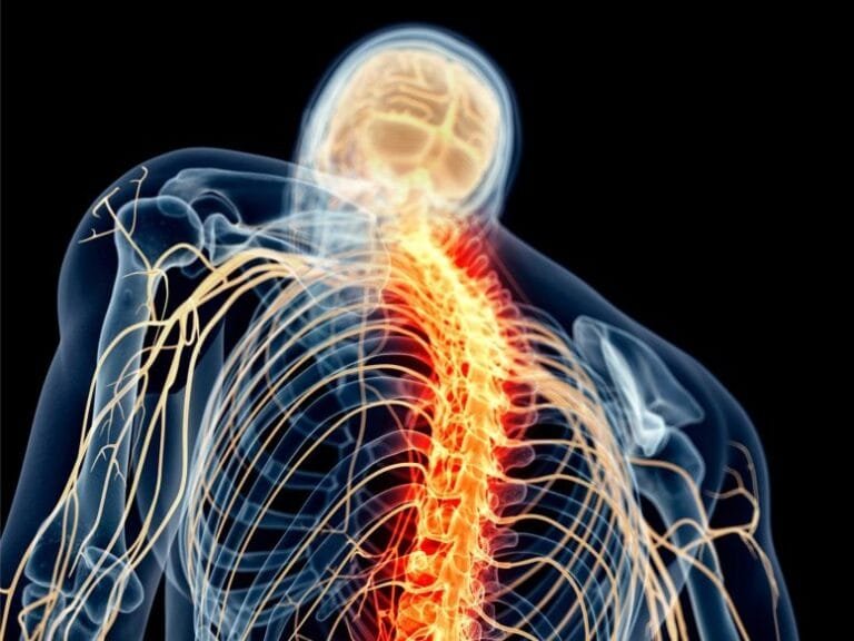 Anticorpos inibem dor neuropática sem afetar dor normal