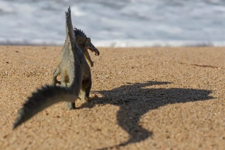 Estudo revela que Spinosaurus pode ter vivido submerso