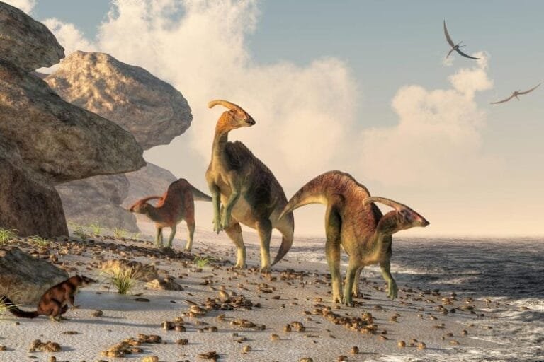 Estudo revela que dinossauros podem ter consumido algas marinhas