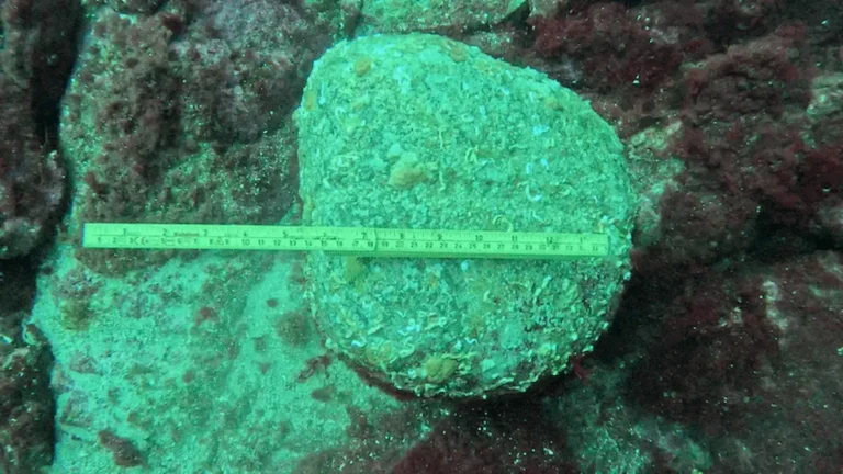 Arqueólogos noruegueses encontram possível âncora da Idade da Pedra