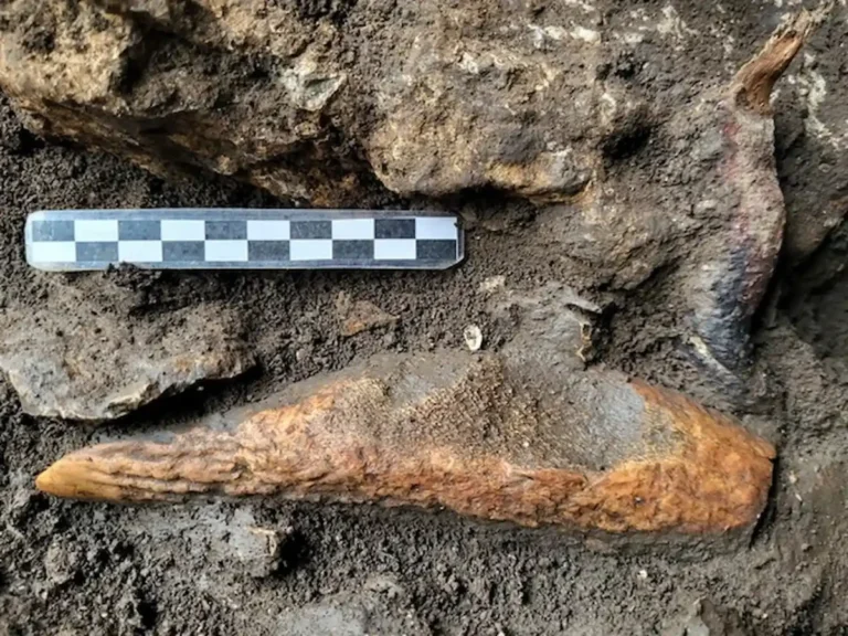 Arqueólogos descobrem acampamento de caçadores na Itália