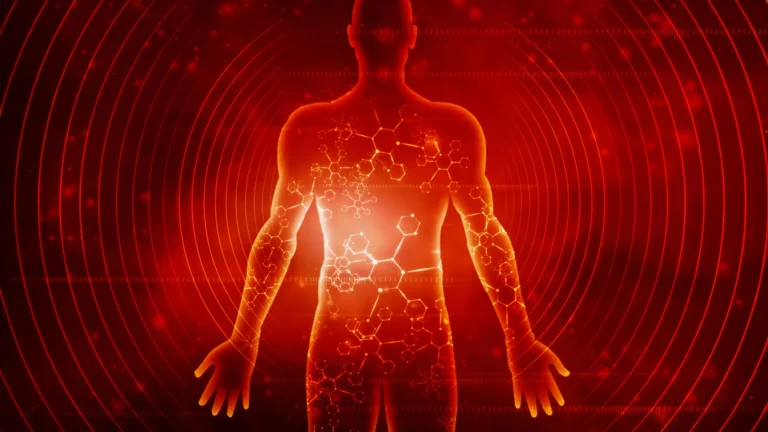 Estudo revela efeitos do jejum de sete dias no corpo humano