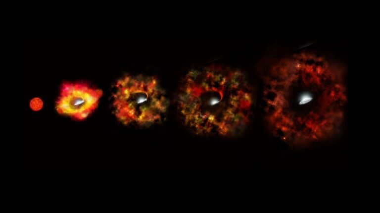 Estudo revela papel dos neutrinos na morte de estrelas massivas
