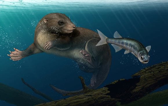 An artist’s reconstruction of Dongoconodon platycauda. Image credit: Shi Yukun.