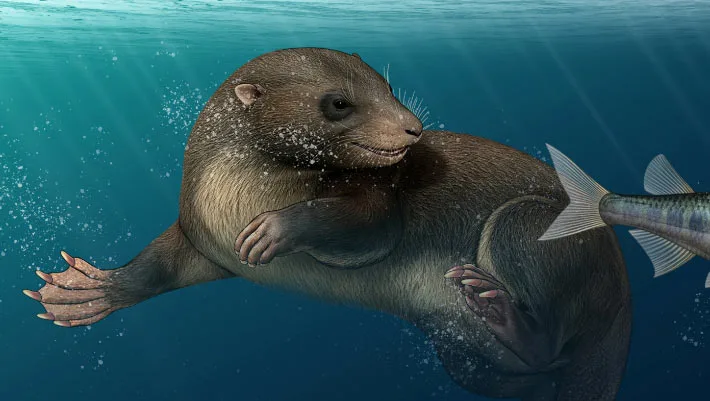 Mamífero da era dos dinossauros nadava como o ornitorrinco