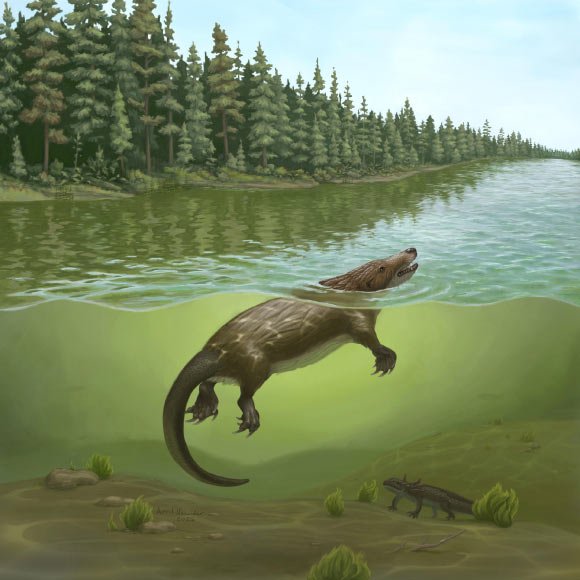 Life restoration of Megacauda sungei. Image credit: April I. Neander.