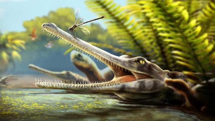 Novo crocodiliano do Jurássico é descoberto em Marrocos