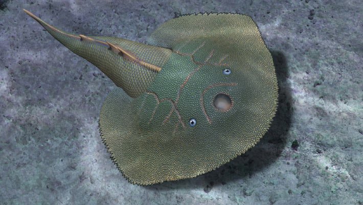 Paleontólogos descrevem novo peixe da era Devoniana na China