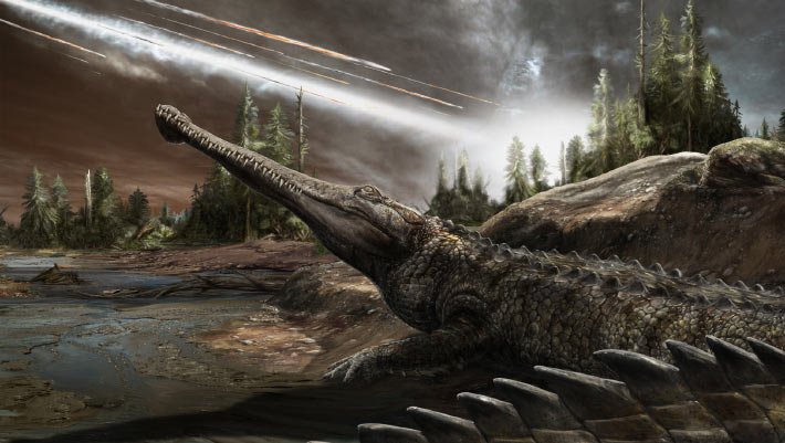 Estudo revela que crocodilos preferem climas quentes há 250 milhões de anos