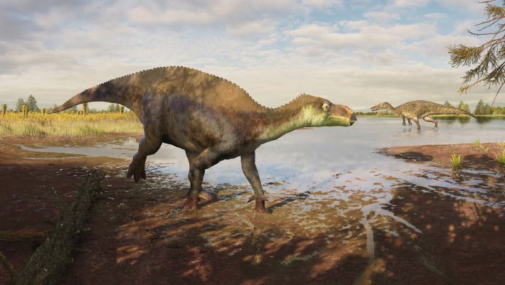 Nova espécie de dinossauro iguanodontiano é descoberta na Inglaterra