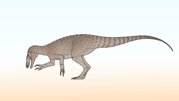 Novo dinossauro predador é identificado na Argentina