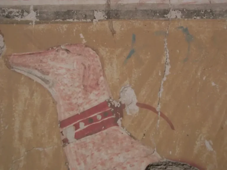 Egiptólogo revela nome de cão em tumba de 3.500 anos