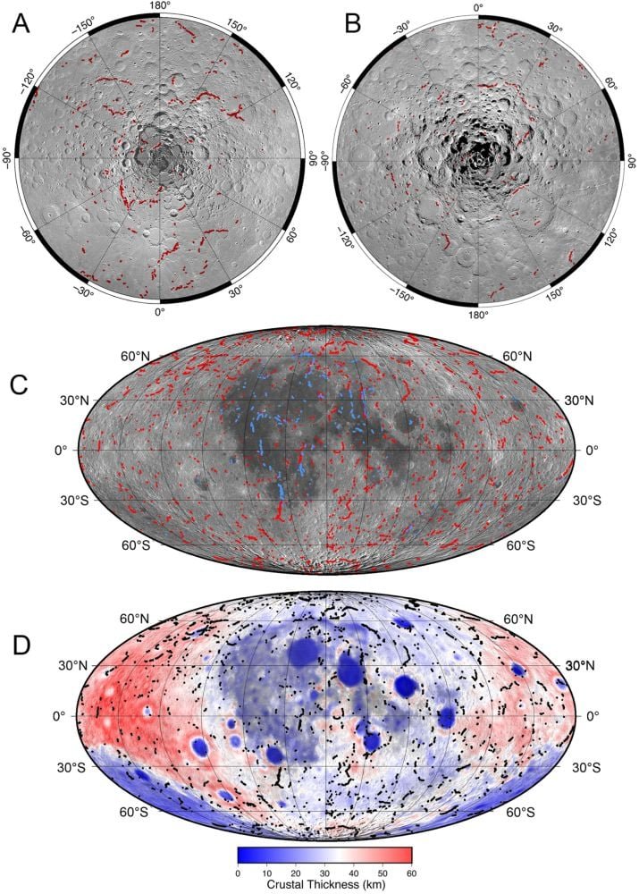 This figure is a global map of fault scarps. It also shows small mare ridges (SMRs), a different type of compressional landform generated by cooling. They're like the mare-terrain counterpart to the lobate scarps found in the highlands. A) North pole LROC WAC stereographic mosaic, with lobate scarps shown as red polylines. (B) South pole LROC WAC stereographic mosaic. (C) Global WAC mosaic, with Mollweide projection lobate scarps shown in red, SMRs shown in blue, and projection center longitude 0°. (D) GRAIL crustal thickness map (M. A. Wieczorek et al. 2013). The fault scarps are shown as black polylines. Image Credit: Watters et al. 2026. PSJ.