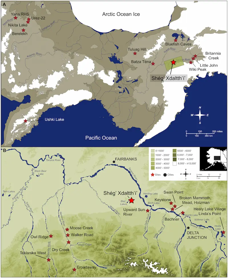 Beringia hunter camp stone age