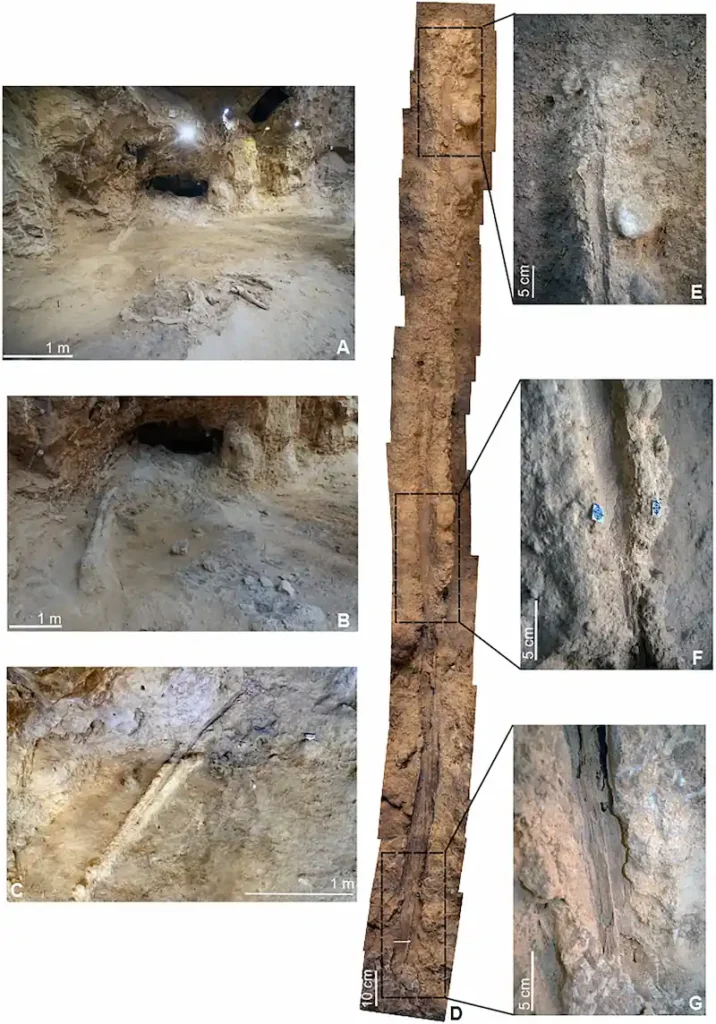 abric romani barcelona spain neanderthal wood tools