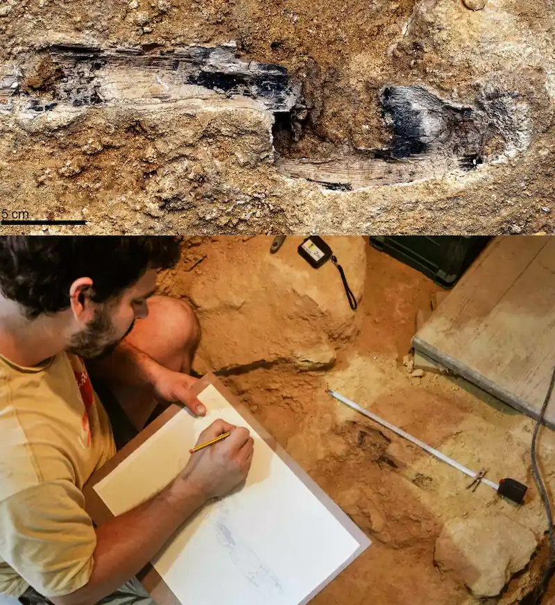 abric romani barcelona spain neanderthal wood tools