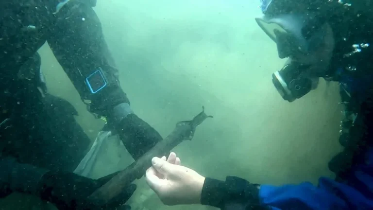 Espada da época de Ramsés II é recuperada de lago italiano